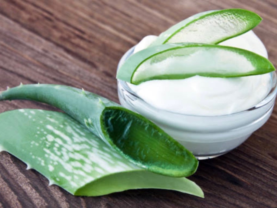 Benefits of Aloe Vera for Kid’s Skin